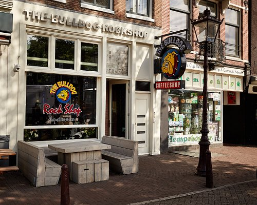 Amsterdam Coffee Shops: A Unique Cultural Experience